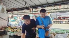 <b>专项小组沉点抽取高风险</b>